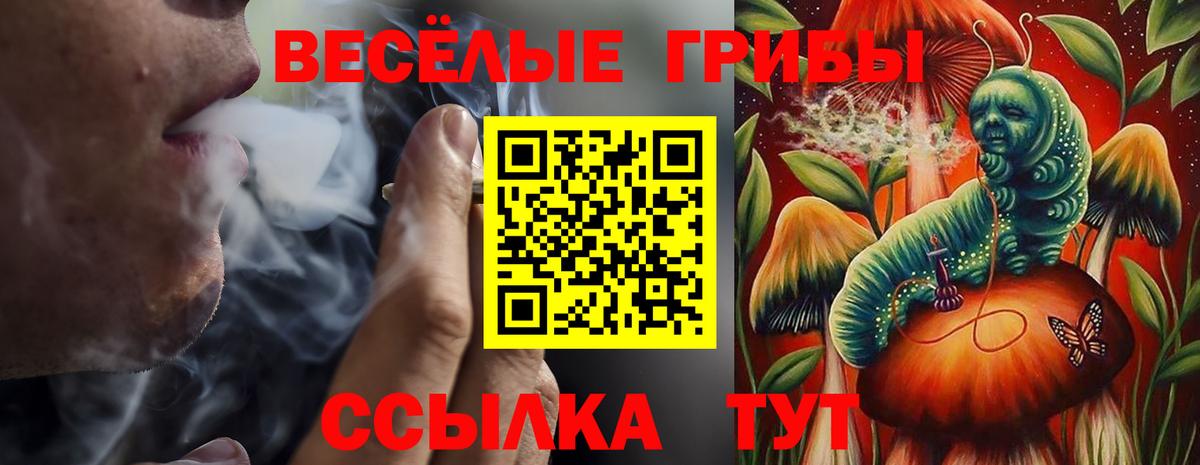 Галлюциногенные грибы GOLDEN TEACHER Кизляр
